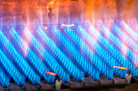 Purn gas fired boilers